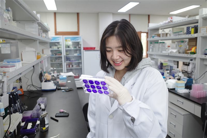 김빛고을